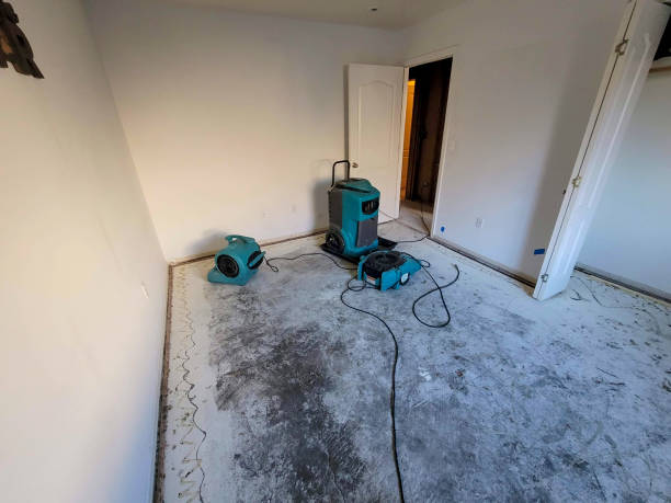 Best Water damage cleanup near me  in Yorba Linda, CA