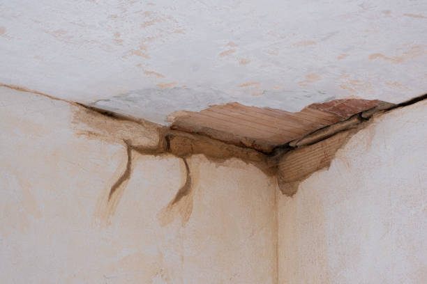Best Water damage cleanup near me  in Yorba Linda, CA