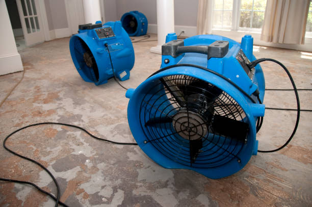 Best Water damage contractors near me  in Yorba Linda, CA