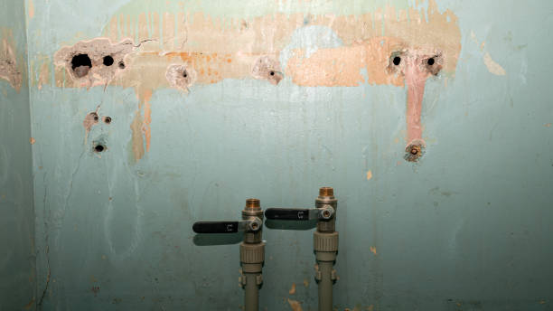 Best Local water damage restoration  in Yorba Linda, CA