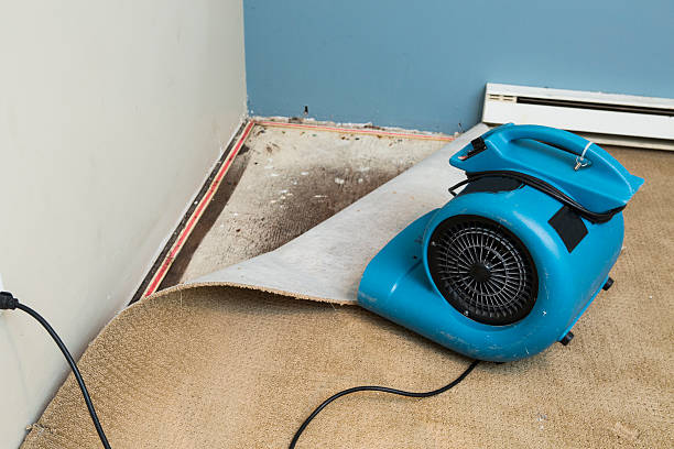Best Flood restoration services  in Yorba Linda, CA